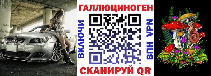 где найти   Рязань  Псилоцибиновые грибы Cubensis 